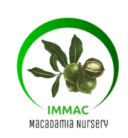 Home-Your Sub Title Here